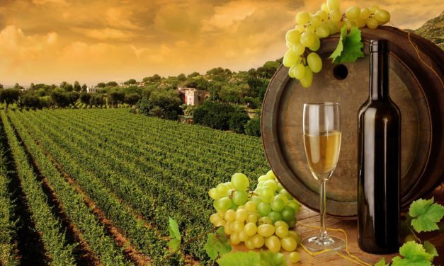 TOUR  PELAS  VINHAS  E CENÁRIOS DE FILMES