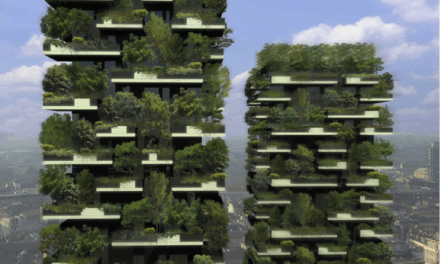 BOSCO  VERTICALE