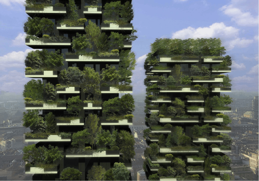 BOSCO  VERTICALE